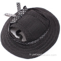 Princess Cap Mesh Pet Pet avec des trous d'oreille